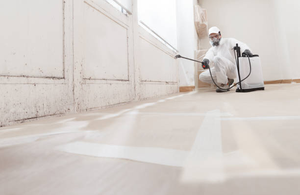 Black mold remediation team in Fort Knox